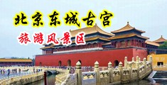 人妖操逼射精中国北京-东城古宫旅游风景区